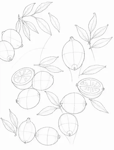 Step 4: Draw the details lightly