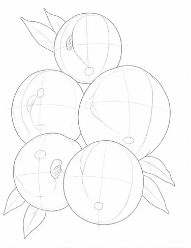 Step 4: Draw the details lightly